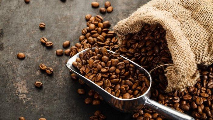 5 Cara Mudah Memilih Biji Kopi Berkualitas