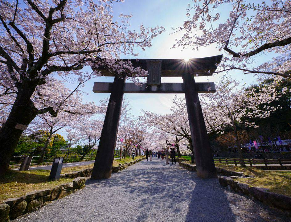 tips backpecker ke jepang dengan murah
