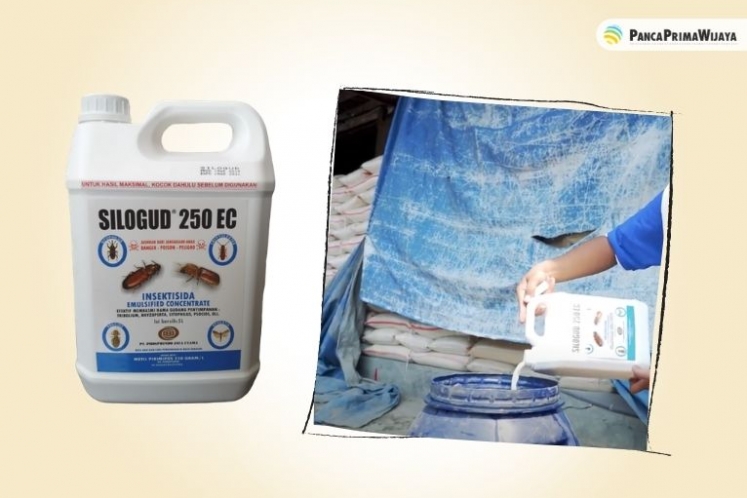 Silogud 250 EC, Salah Satu Obat Pembasmi Rayap Cair