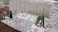 Pengendalian hama gudang