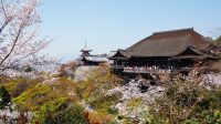 Temukan Penawaran Diskon Tour 7 Hari Di Jepang Disini