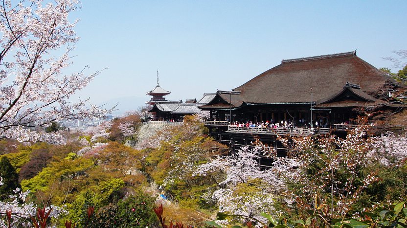 Temukan Penawaran Diskon Tour 7 Hari Di Jepang Disini